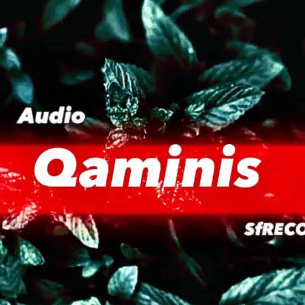 Qaminis - قمينس
