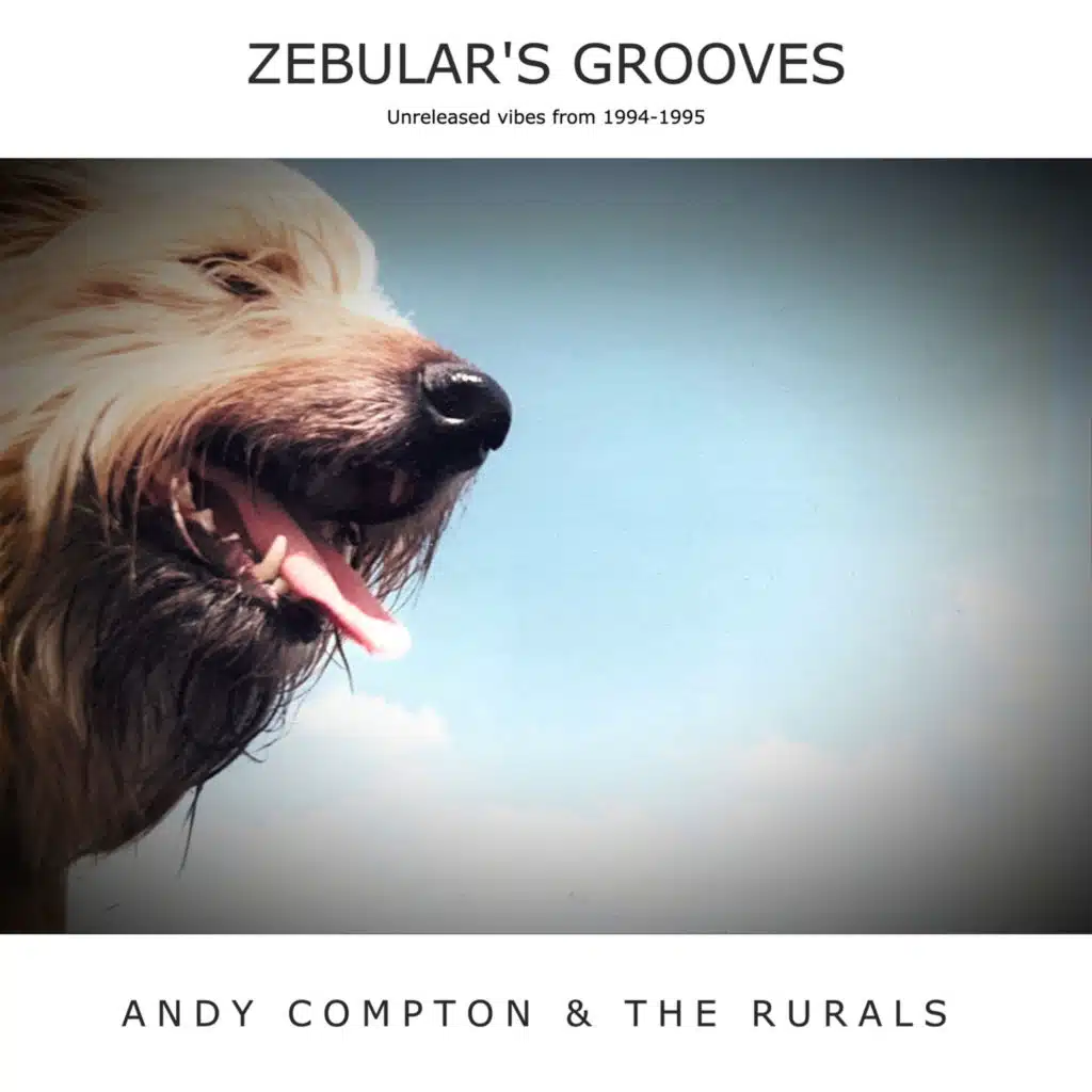 Zebular's Grooves - Unreleased Vibes From 1994-1995