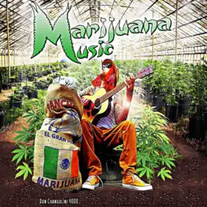 Marijuana Money