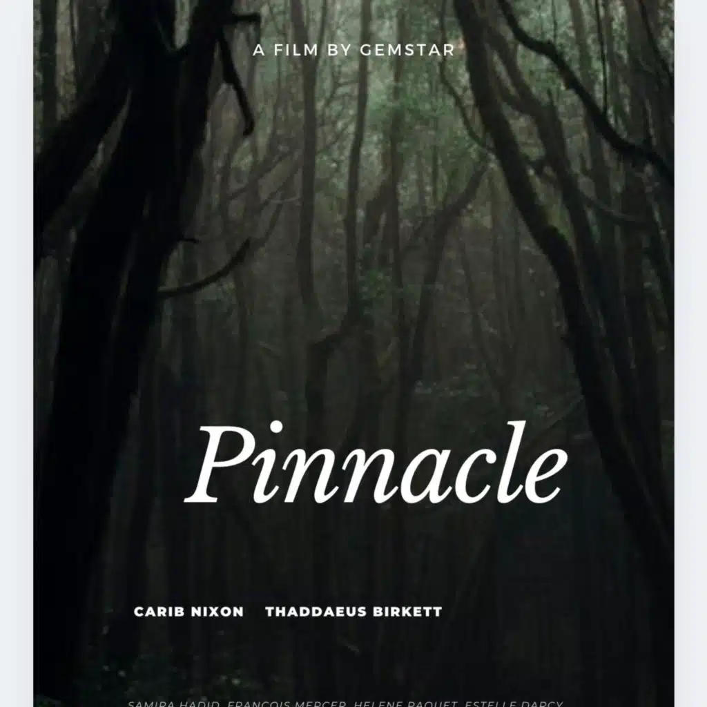 The Pinnacle (feat. B Twizzy)