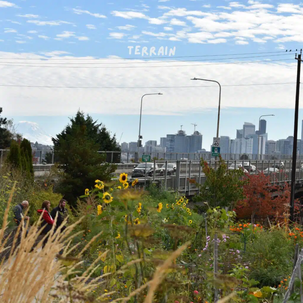 terrain
