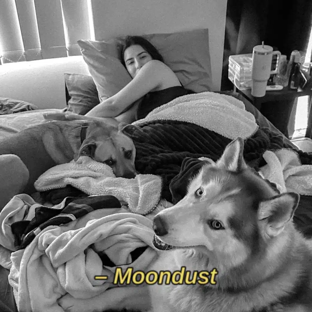 Moondust