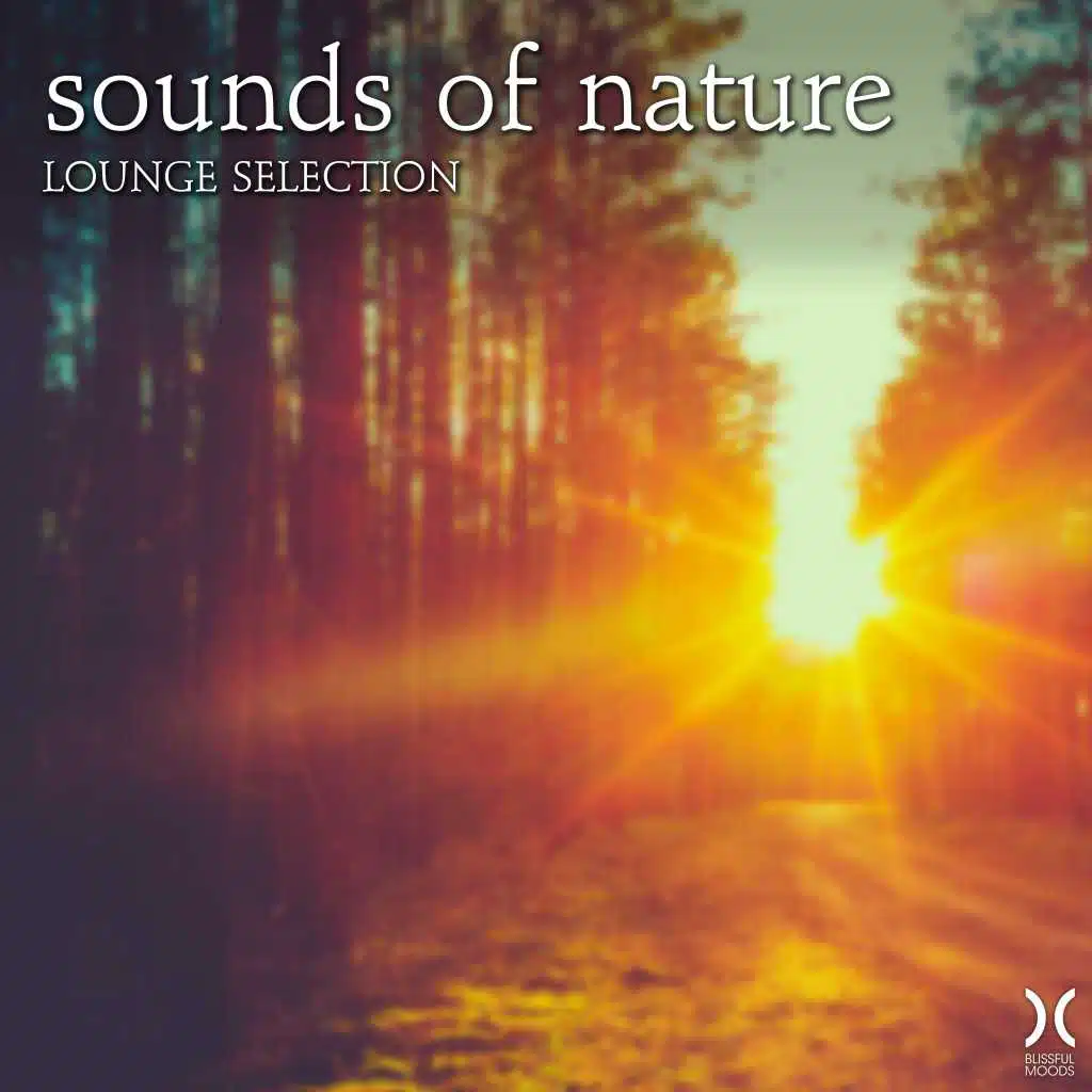 Sounds of Nature: Lounge Selection