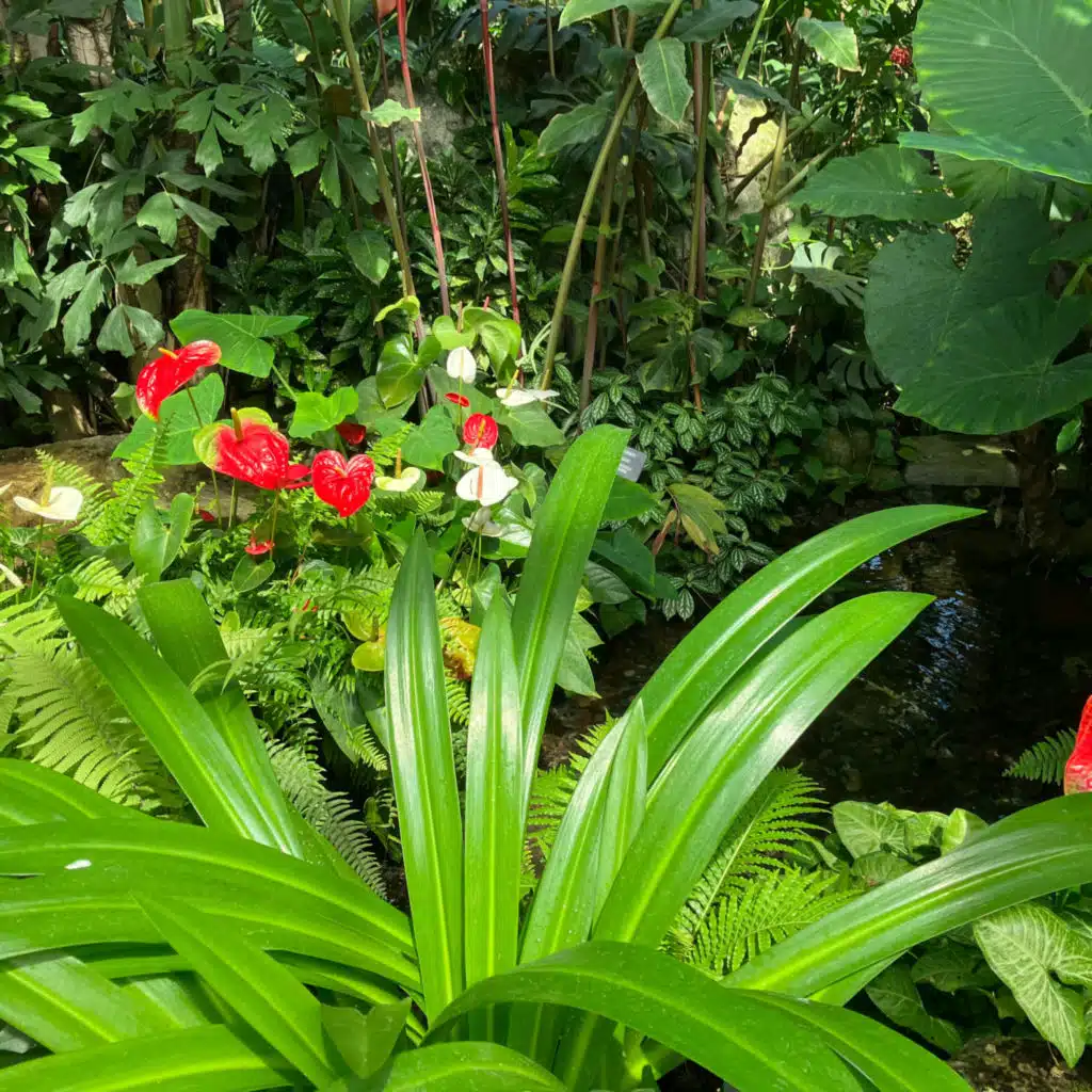 Days Of Youthful Angst(Your Approval Is Not Needed)