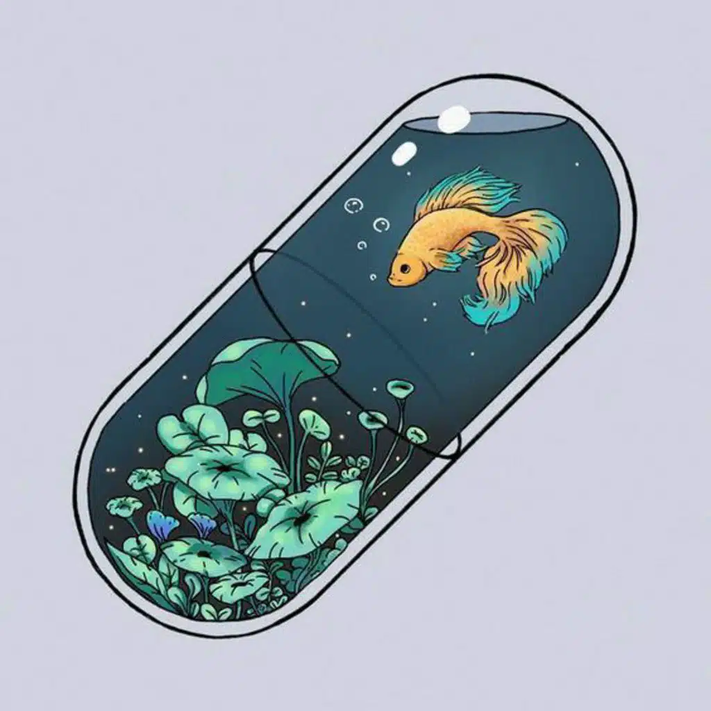 Sufjan Stevens Fourth Of July - Slowed + Reverb