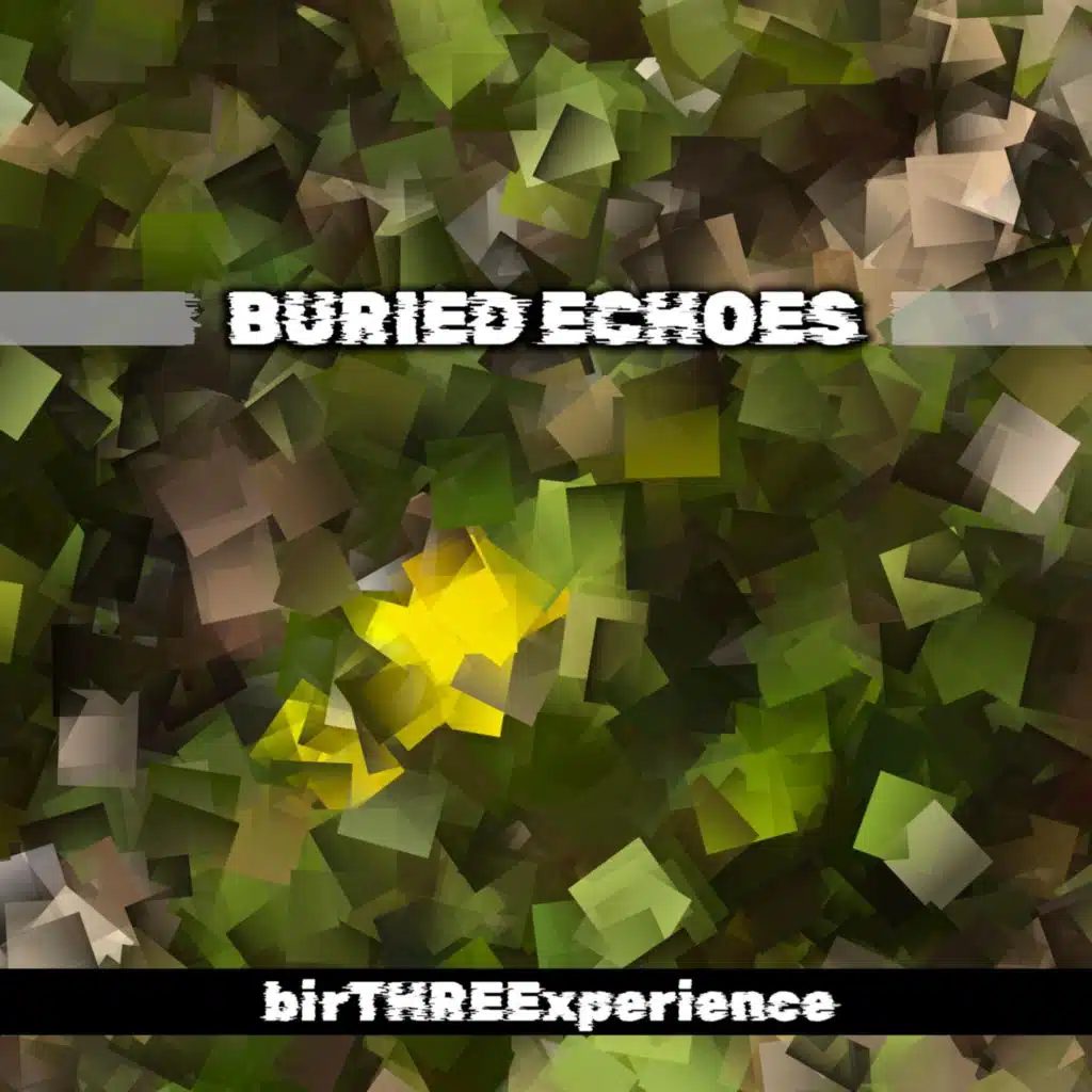birTHREExperience