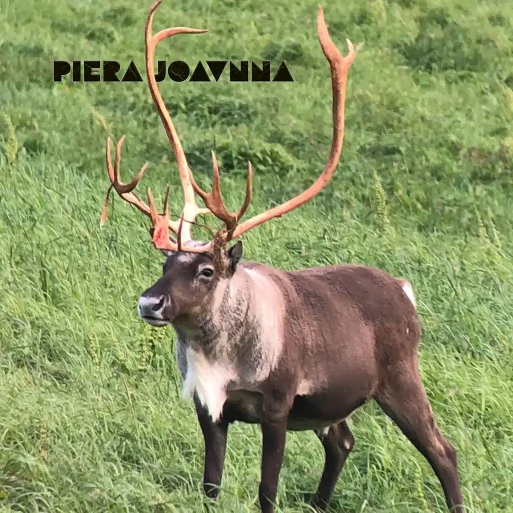 Mikkel Jonas Eira & Bernt Mikkel Haglund