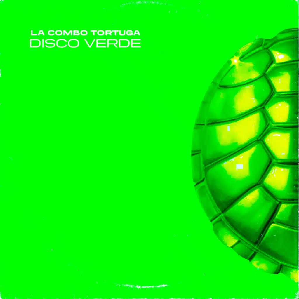 Disco Verde