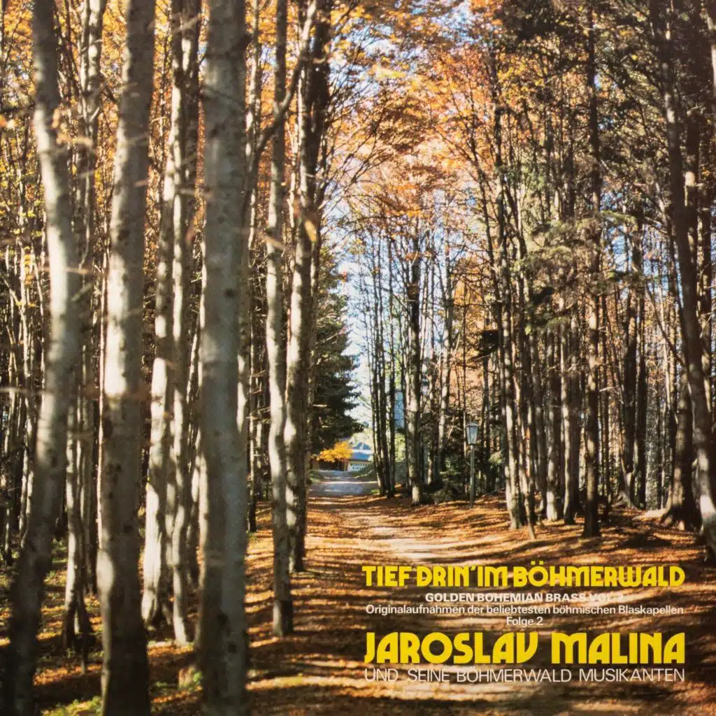 Tief Drin Im Boehmerwald Vol. 2 - Golden Bohemian Brass Vol. 2