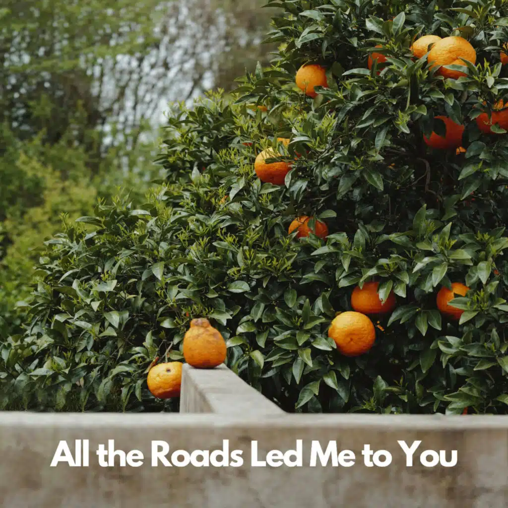 All the Roads Led Me to You