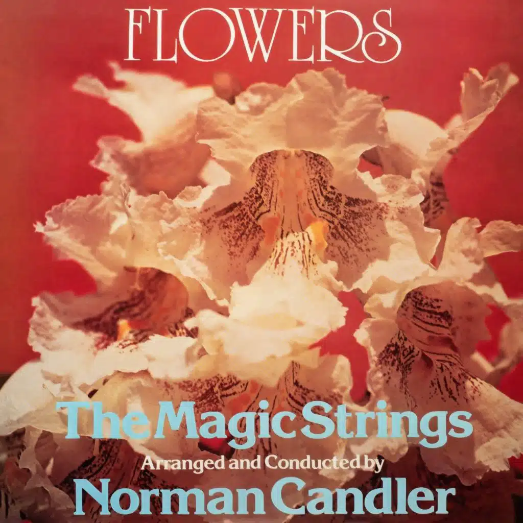 Flowers - The Magic Strings - Norman Candler
