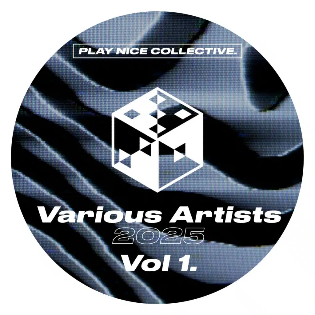 Play Nice Collective - VA 2025 Vol.1
