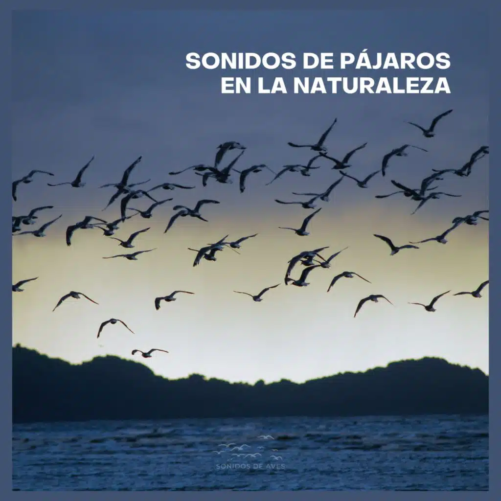 Sonidos de Pájaros en la Naturaleza