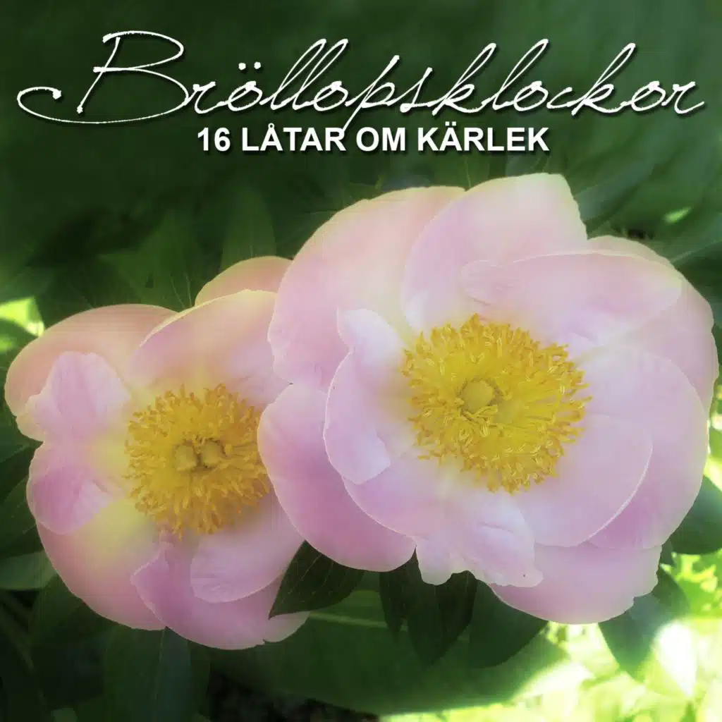 Bröllopsklockor - 16 låtar om kärlek