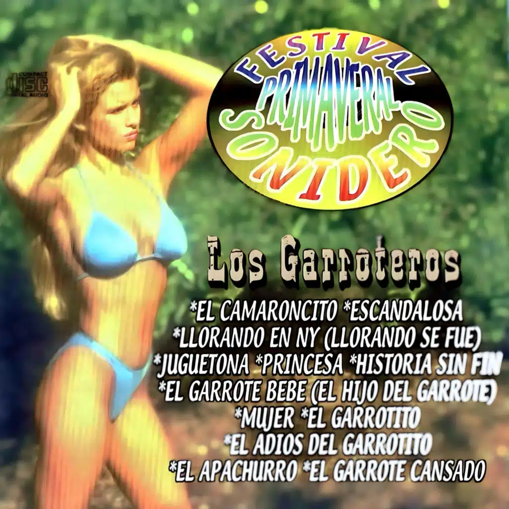 Festival Primavera Sonidero