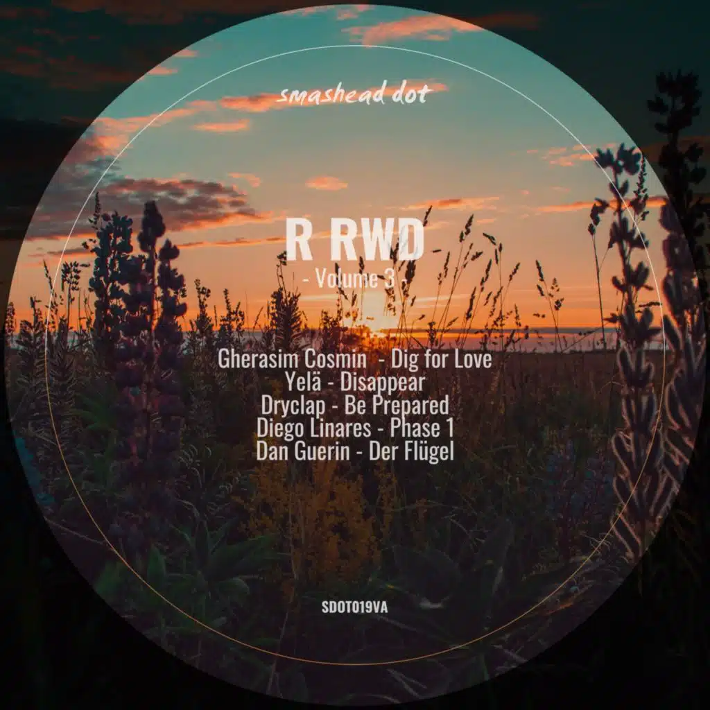 R-RWD, Vol. 3