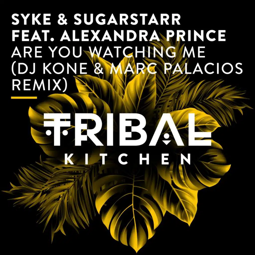 Are You Watching Me (DJ Kone & Marc Palacios Remix) [feat. Alexandra Prince]