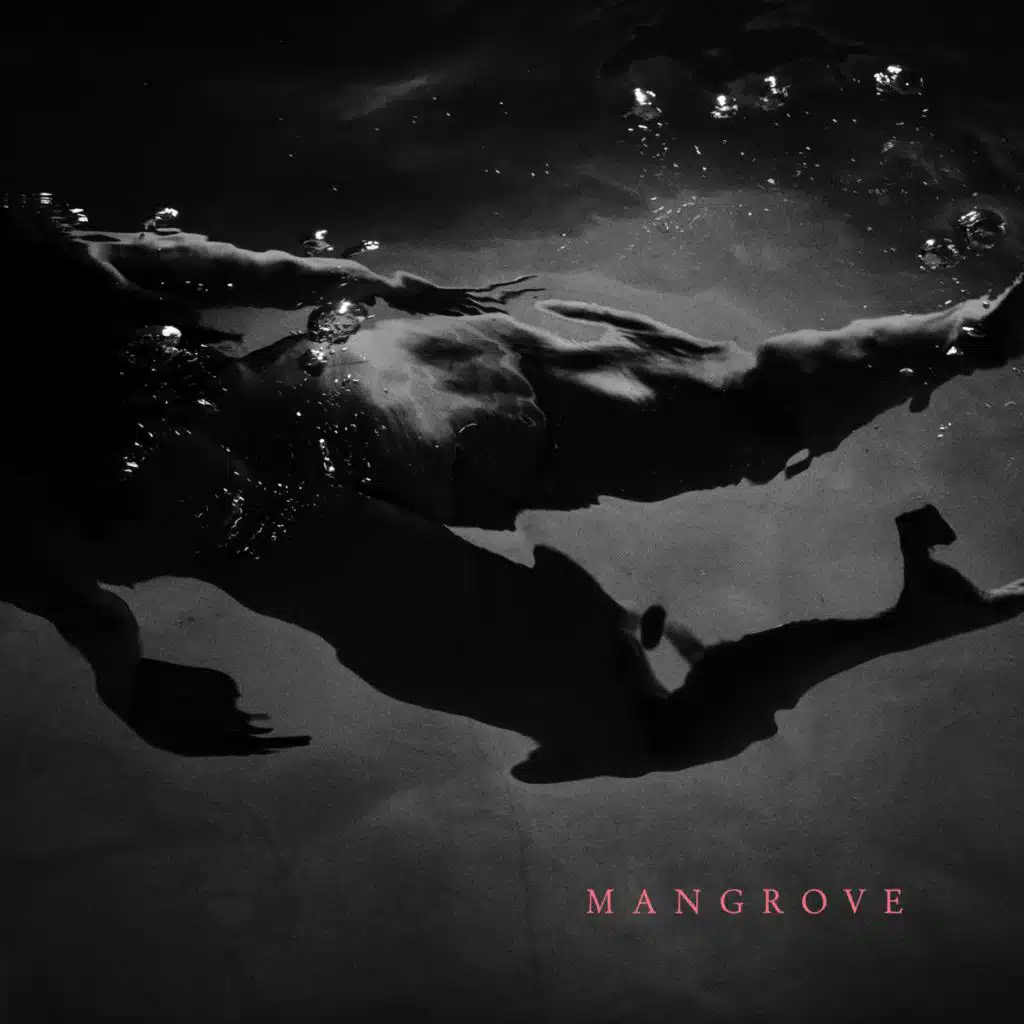 Mangrove (Instrumental EP)