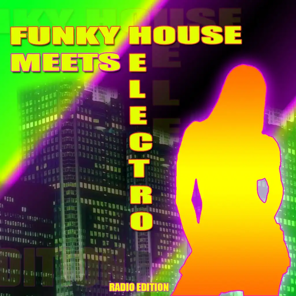 Funky House Meets Electro (Radio Edition)