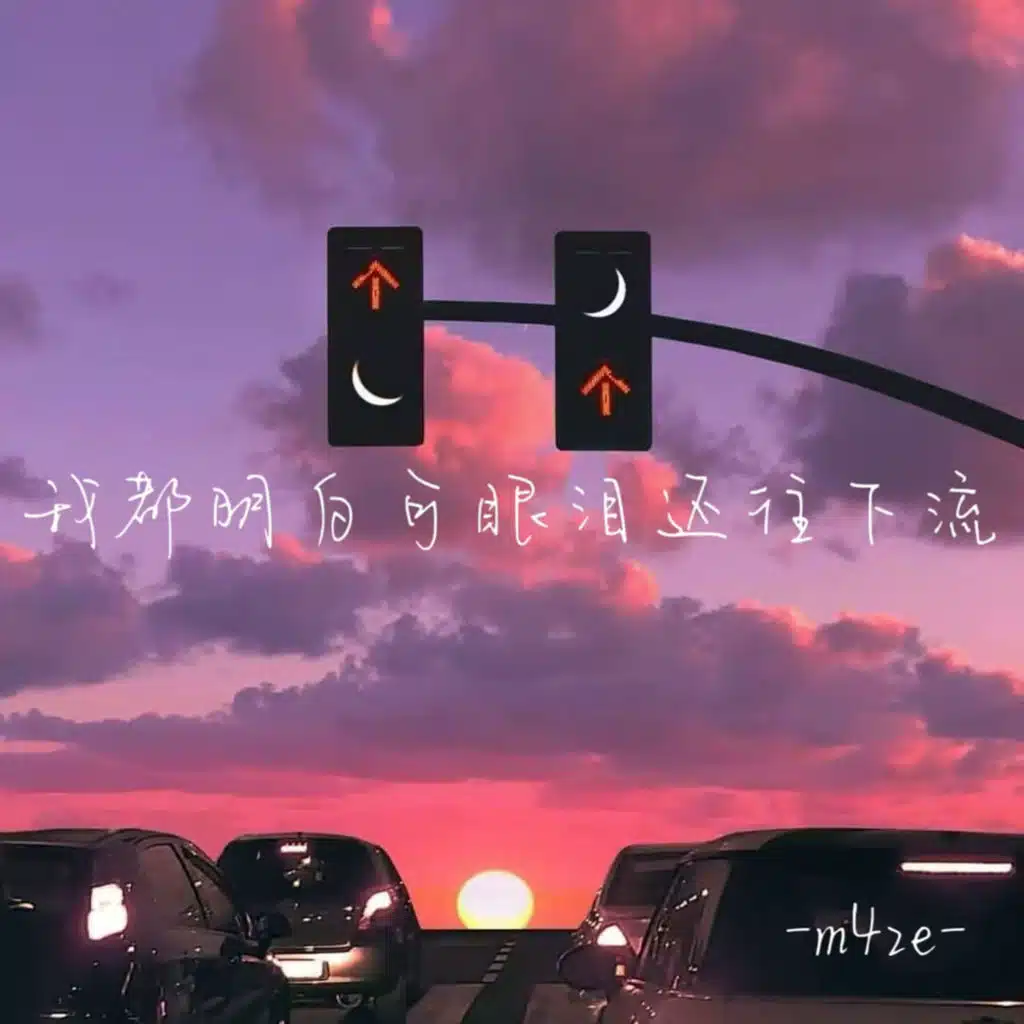 我都明白可眼泪还往下流 (伴奏)