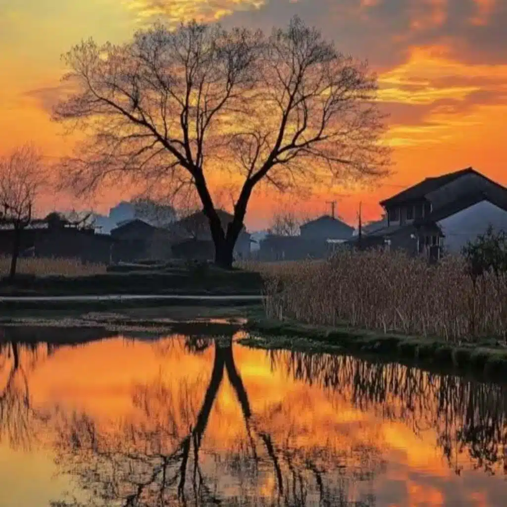 脱线的风筝 (催眠轻音乐)