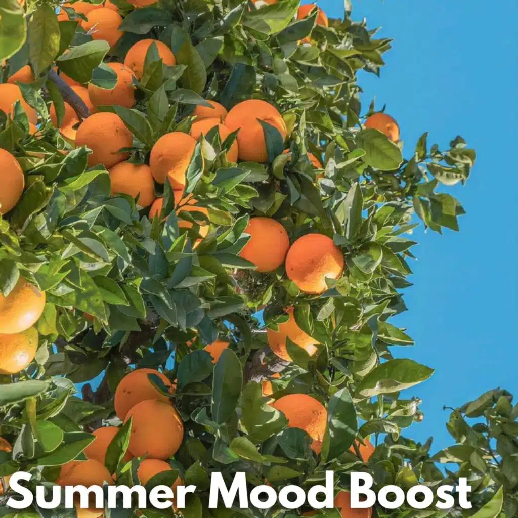 Young Hearts Run Free