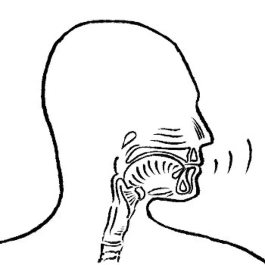 Inmersión