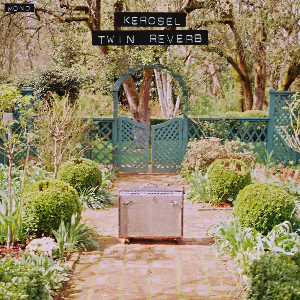 Twin Reverb