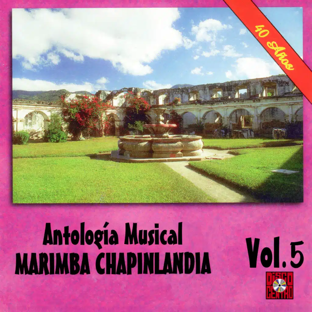 Recuerdos De Un Amigo