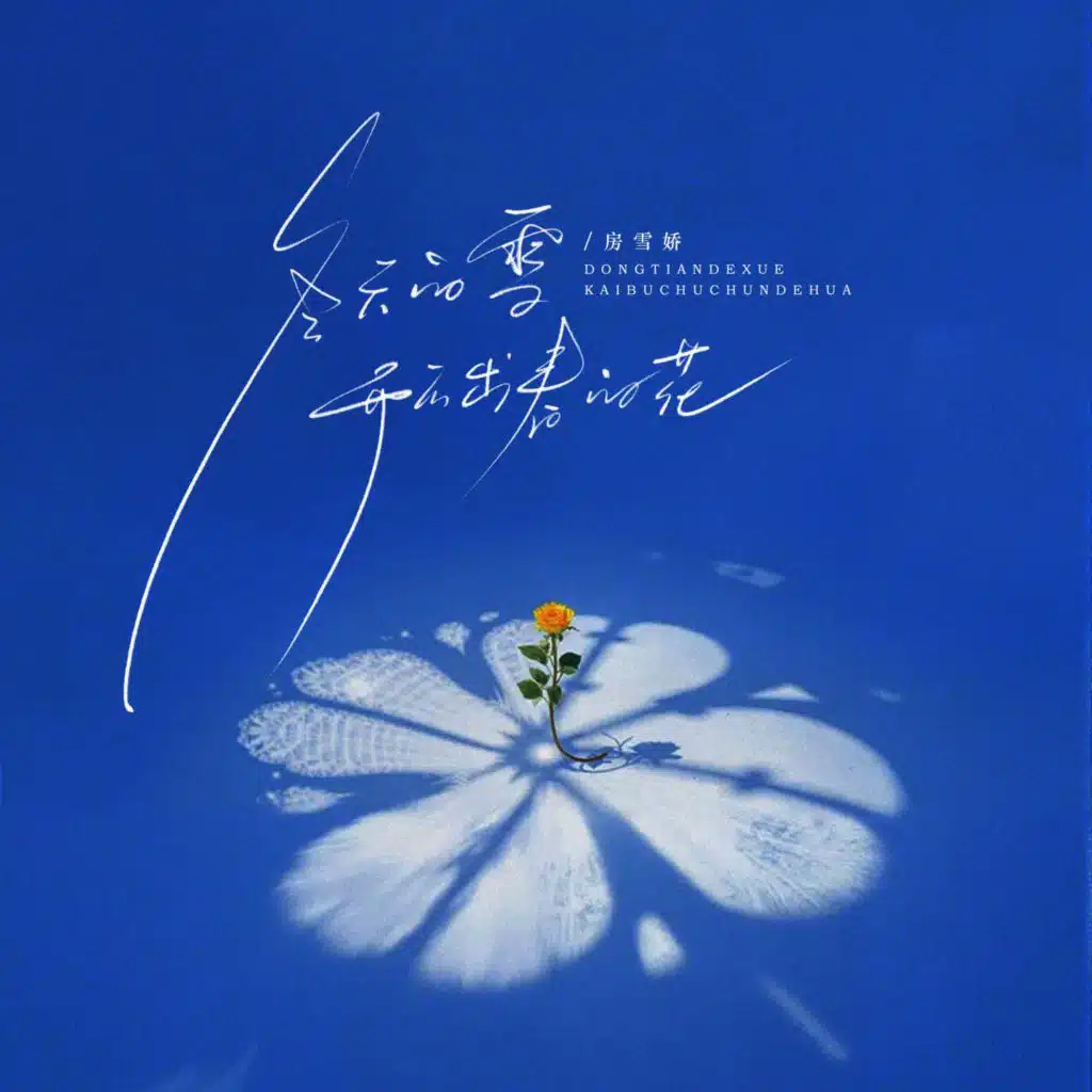 冬天的雪开不出春天的花 (DJ默涵版)