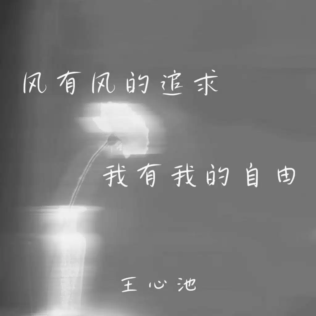 风有风的追求，我有我的自由
