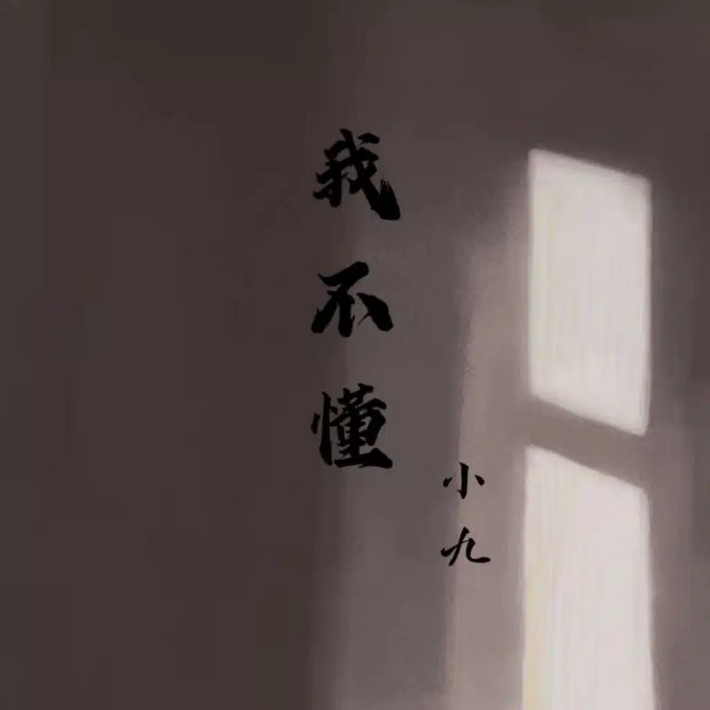 我不懂