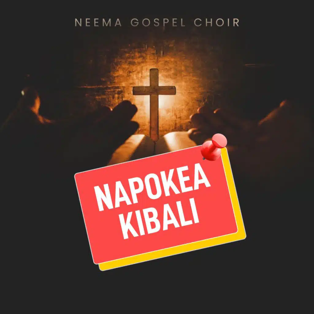 Napokea Kibali