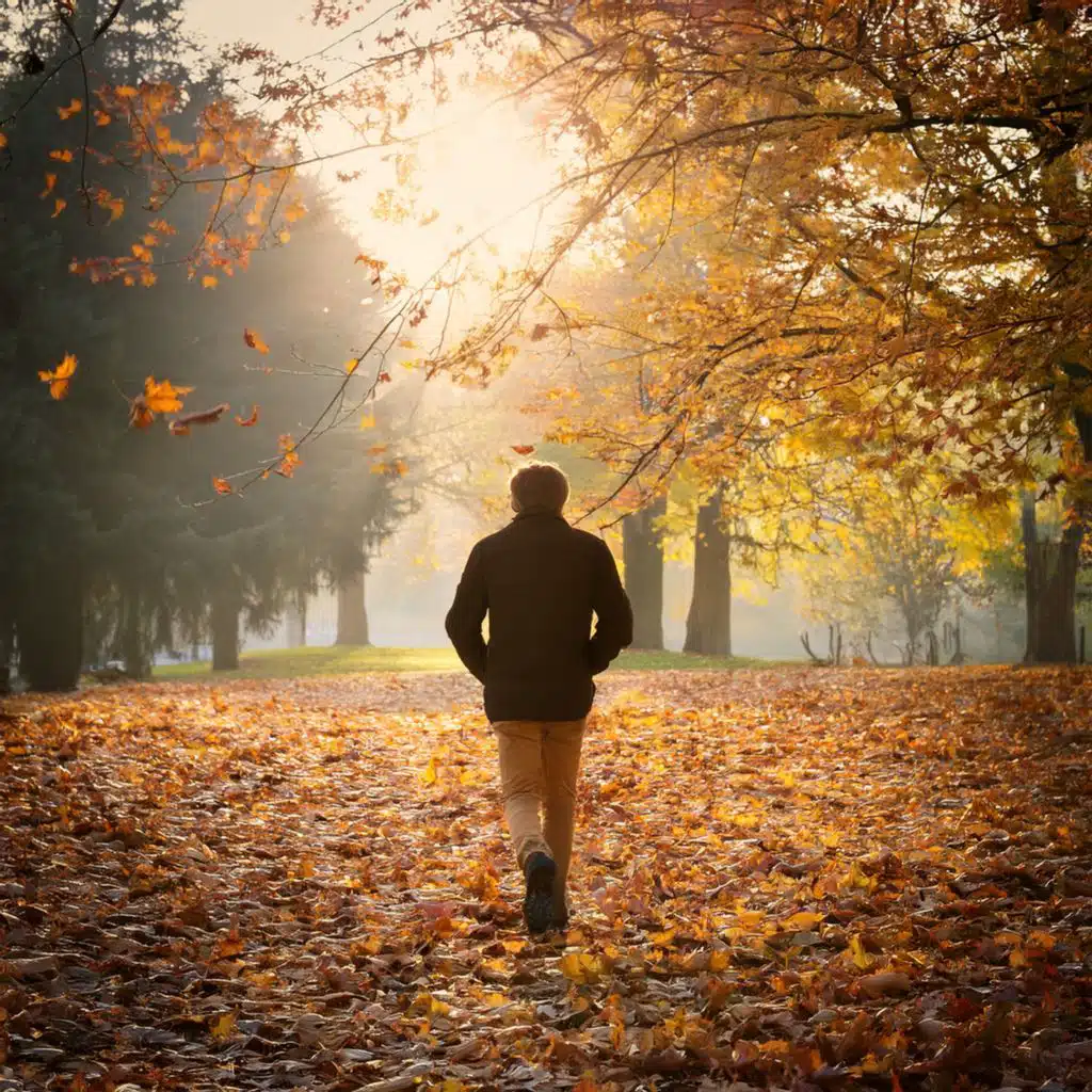 Music For The Stillness Between The Falling Leaves