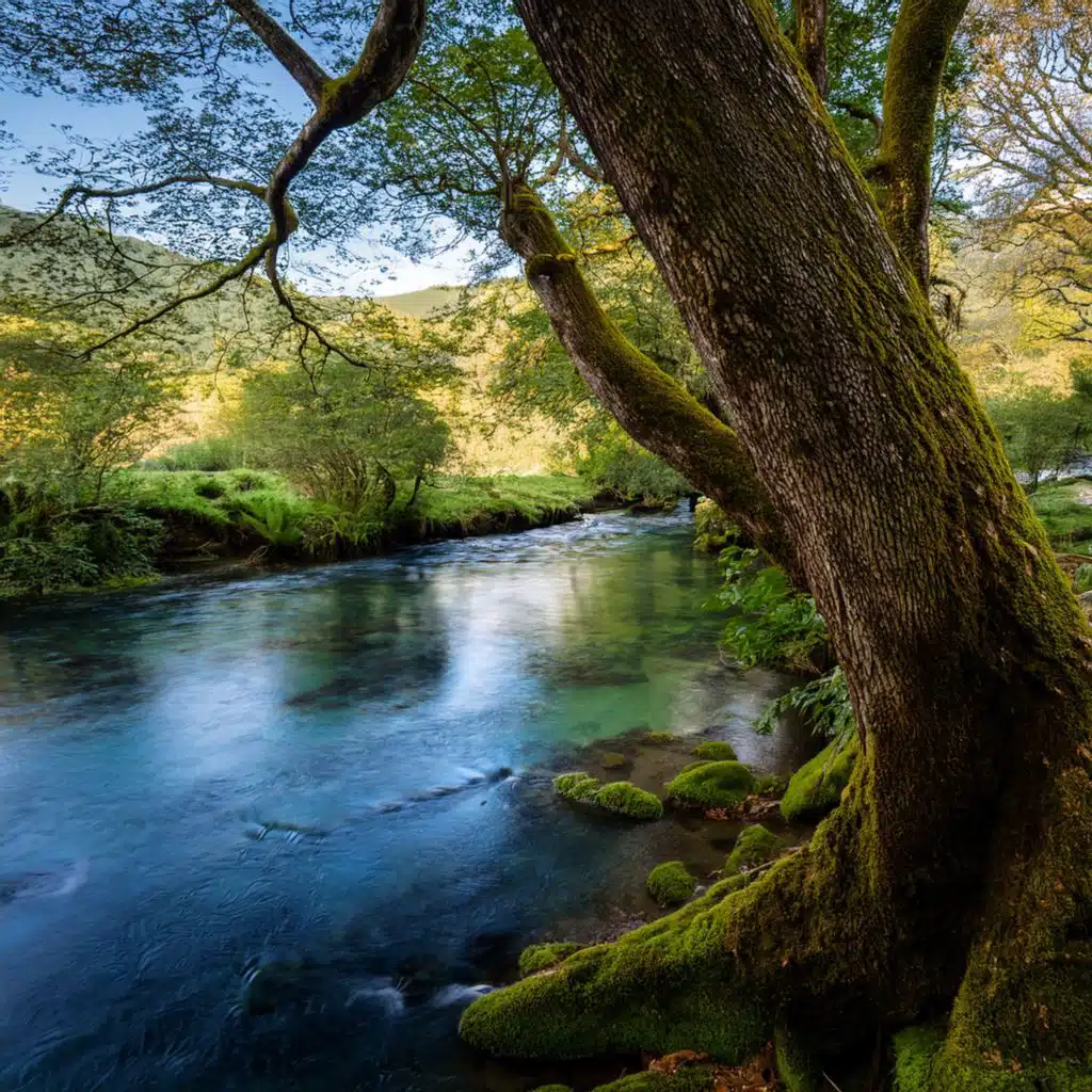 Music For Journeys Never Taken