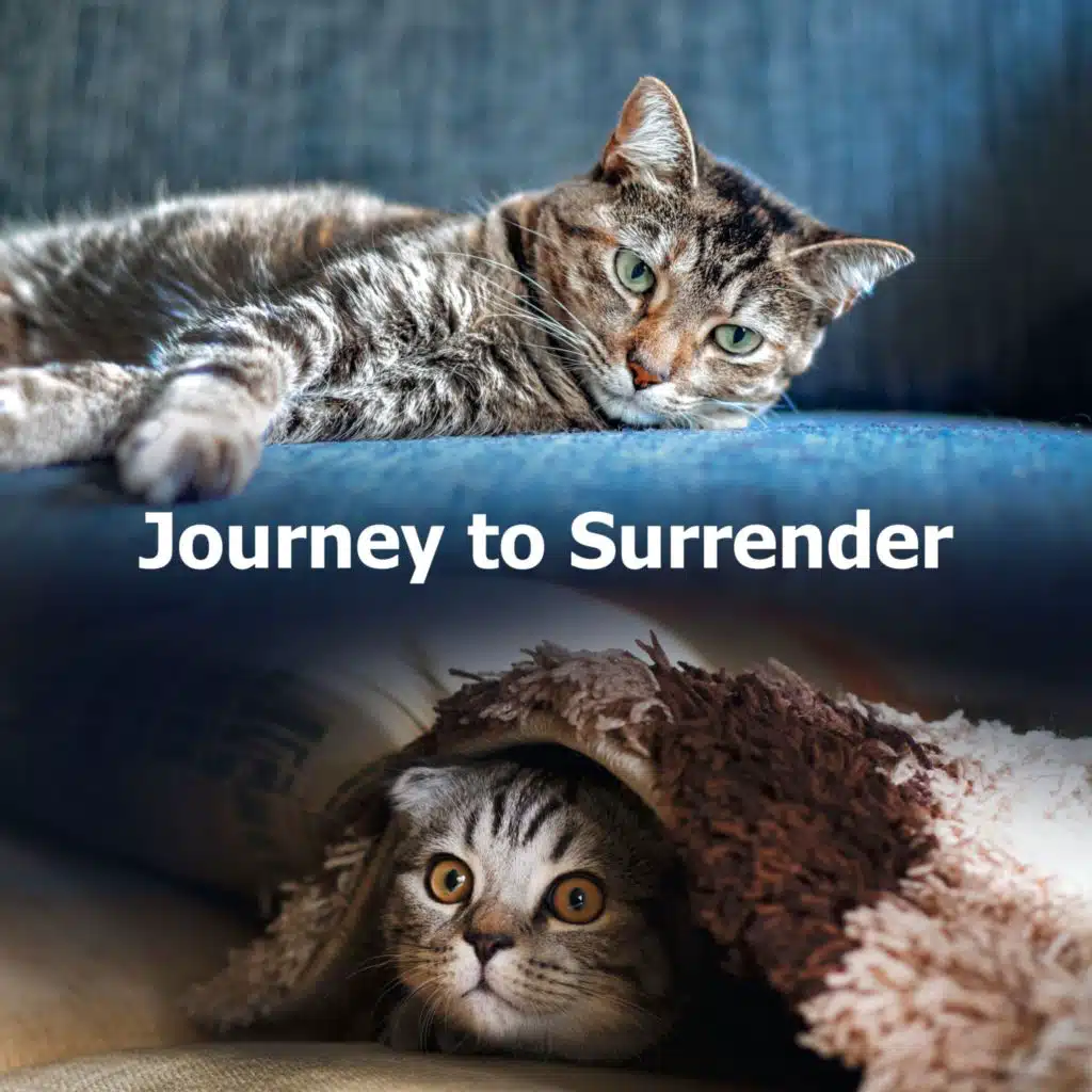 Journey to Surrender
