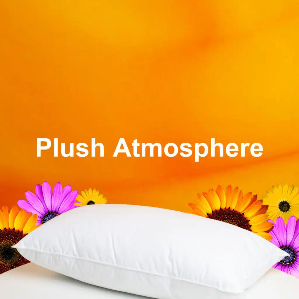 Plush Atmosphere