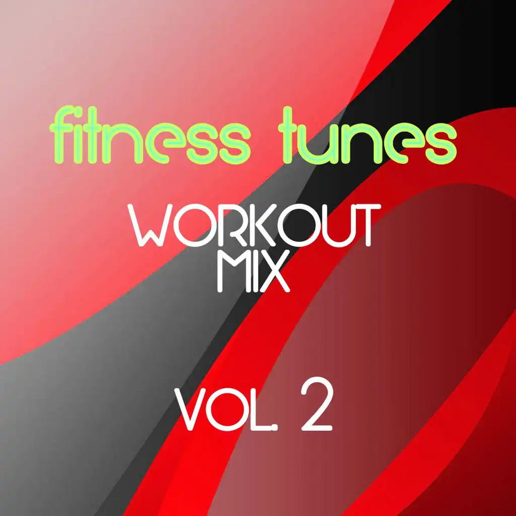 Fitness Tunes Workout Mix Vol. 2 (27 Electronic Tracks For Sport & Fitness)