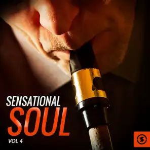 Sensational Soul, Vol. 4