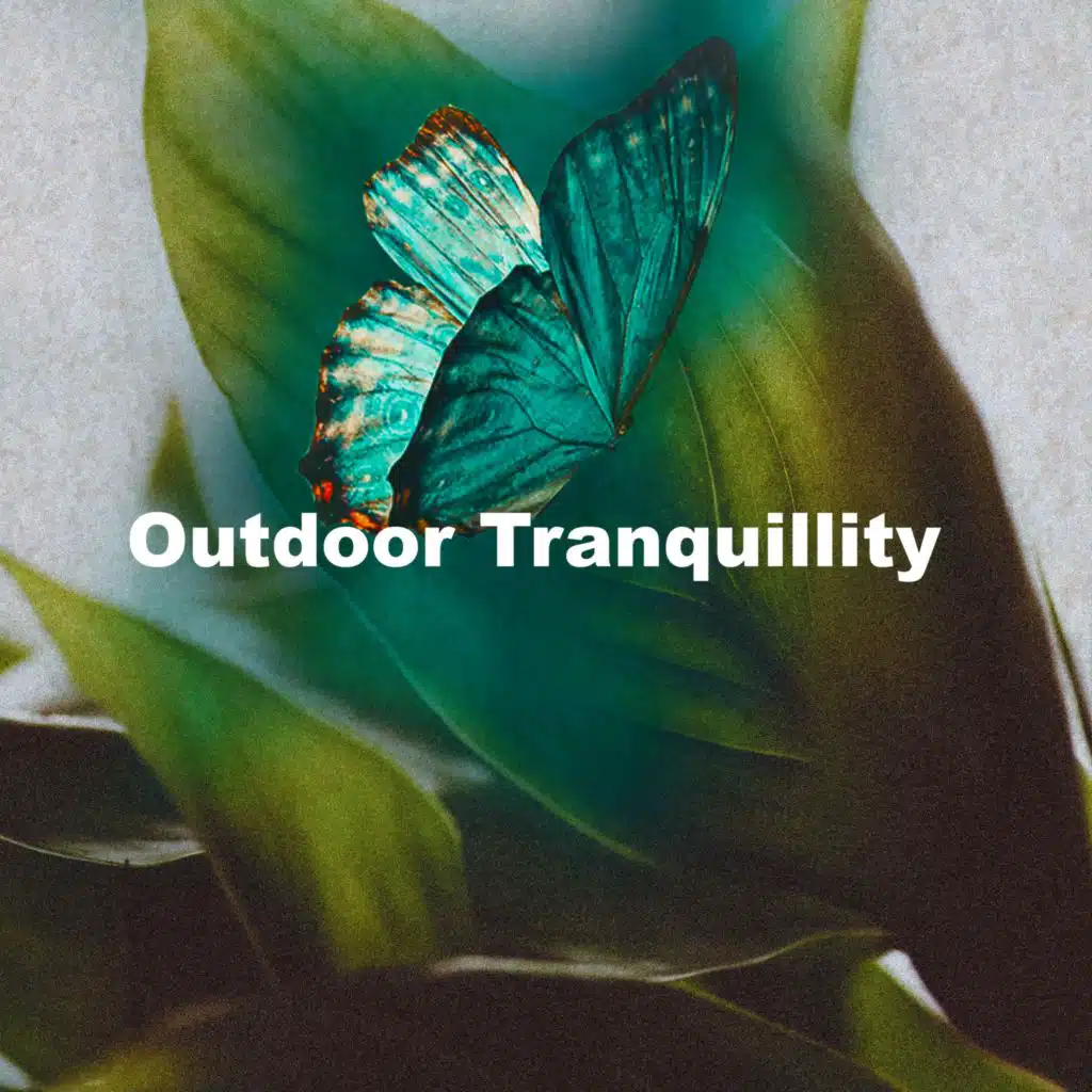 Outdoor Tranquillity
