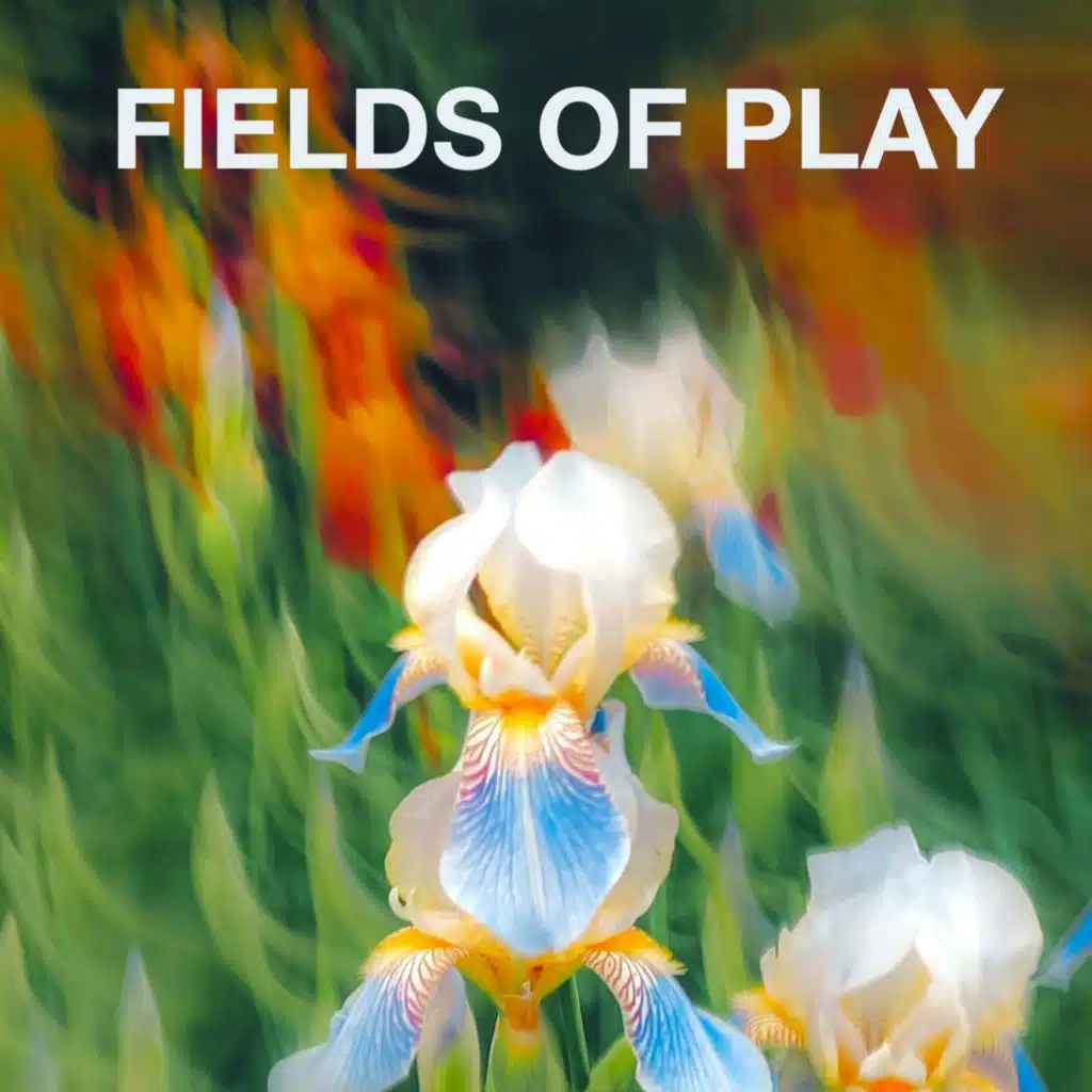 Fields of Play