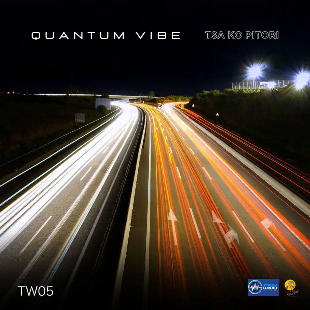 Quantum Vibe