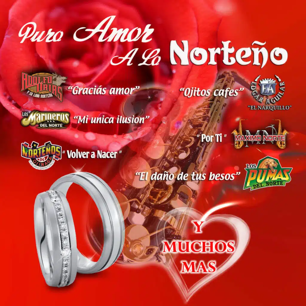 Puro Amor A Lo Norteño