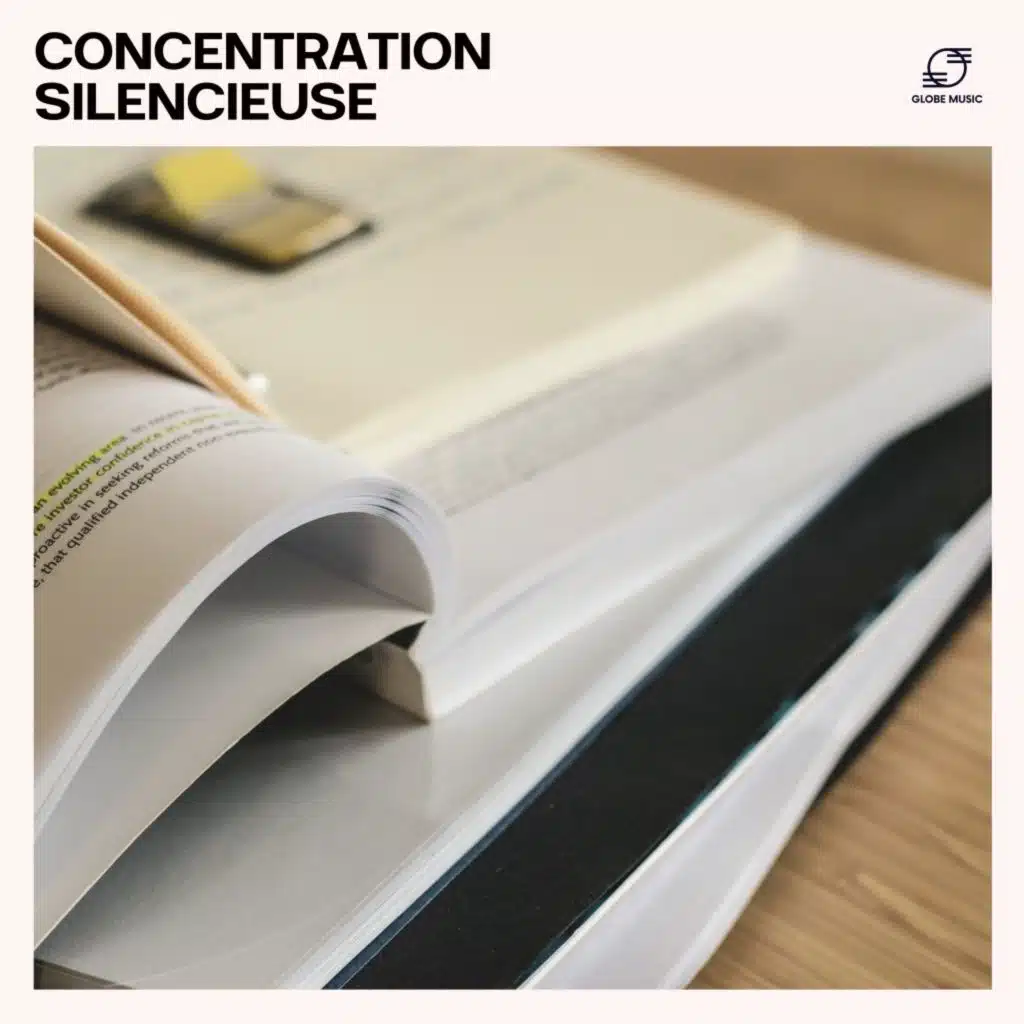 Concentration Silencieuse
