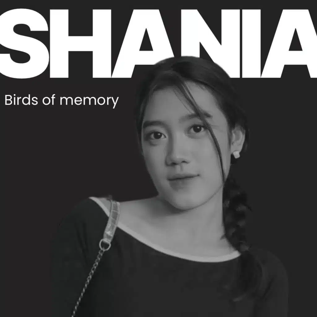 Birds Of Memory