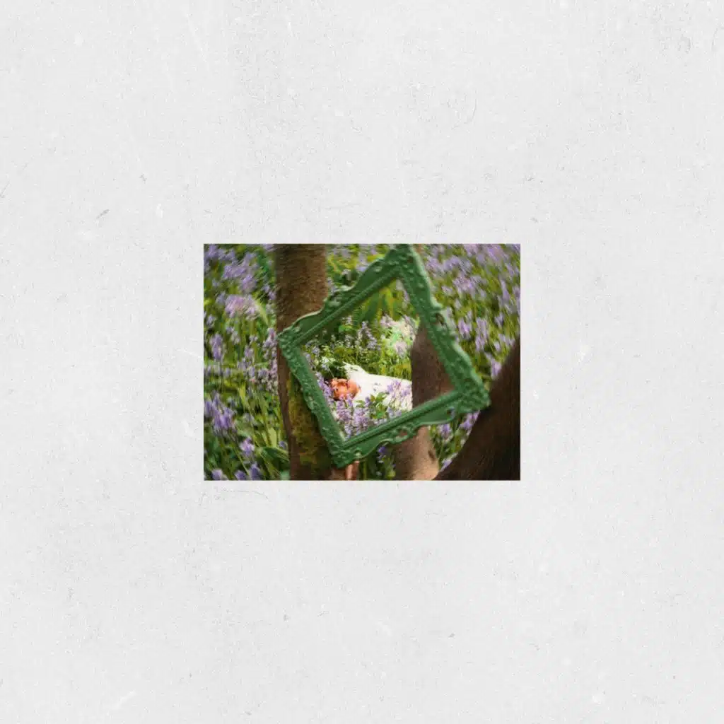 EINBLICKE/AUSDRÜCKE