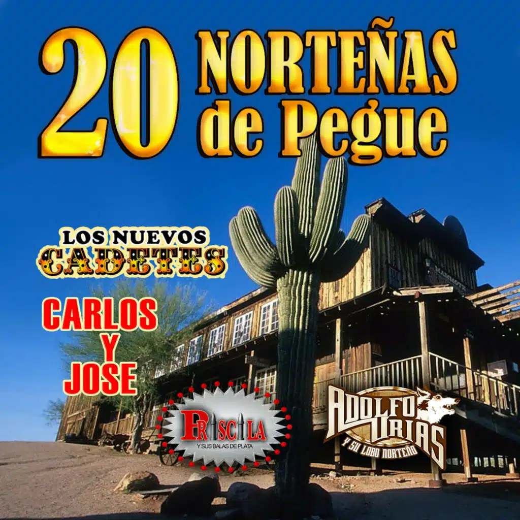 20 Norteñas De Pegue