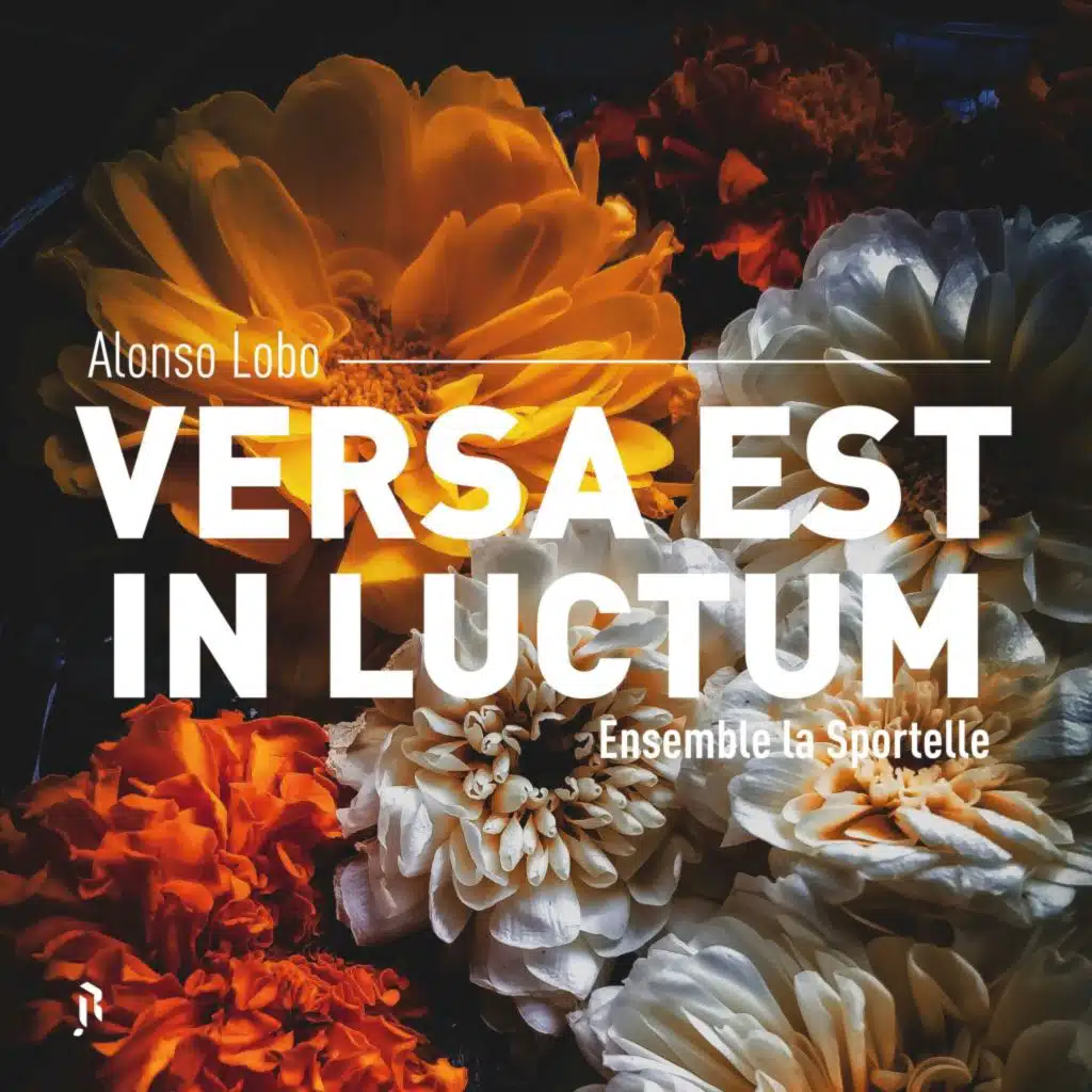 Ensemble la Sportelle & Alix Dumon-Debaecker