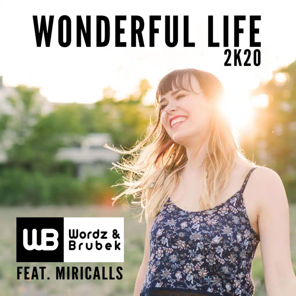 Wonderful Life 2K20 (feat. Miricalls)