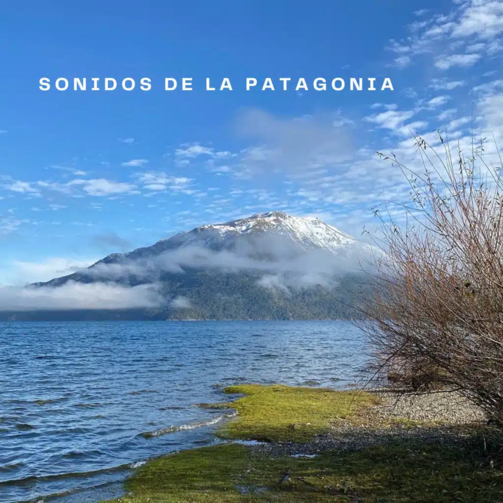 Sonidos de la Patagonia